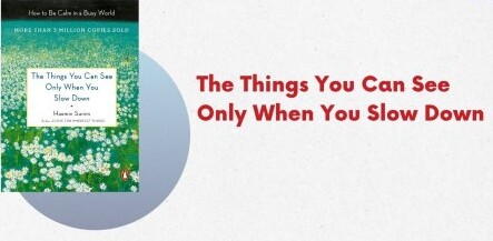 7) The Things You Can See Only When You Slow Down