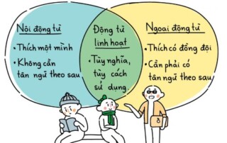 Ngoại động từ - Nội động từ - Tieng ANh EZ